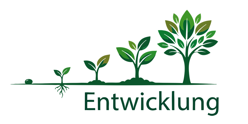 Entwicklung