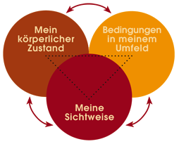 Infografik meine Methode